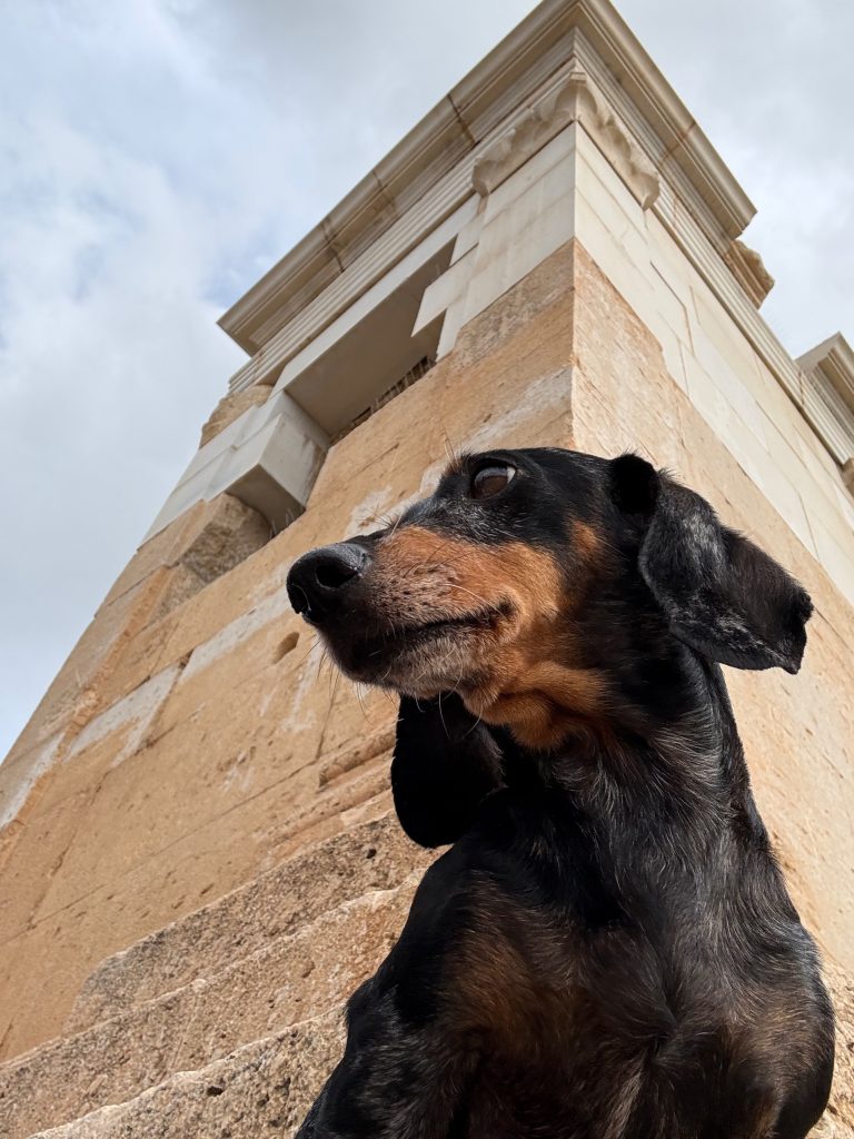 Athena